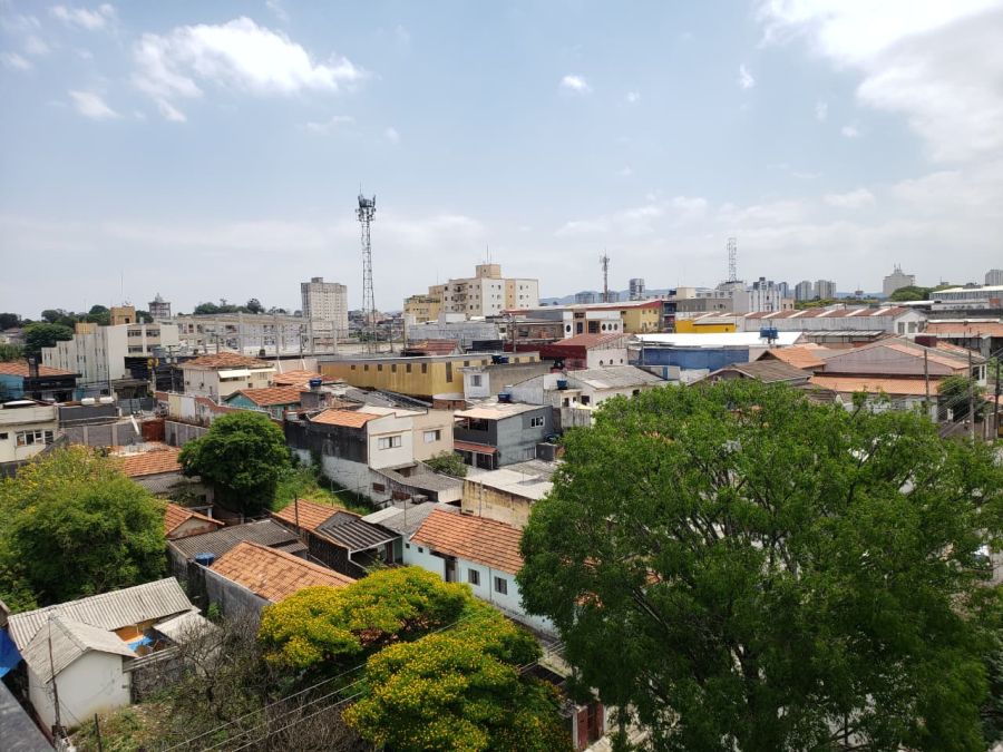 Vista do bairro - rua arborizada